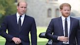 Vicar Says It Was a ‘Pleasant Surprise' to See Prince Harry and Prince William at Their Uncle's Memorial; Details Here