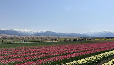 收藏日本富山縣必訪打卡絕景 下次別錯過