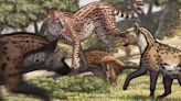 Huge cheetah that roamed China 1 million years ago would have stood face to face with a tiger