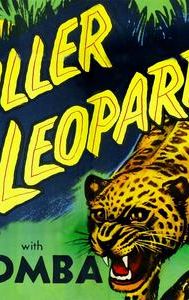 Killer Leopard