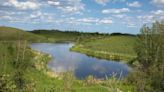 Ontario shuts down conservation authorities' wetland review in Eastern Ontario