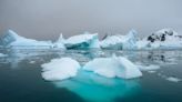 Ecosistema marino del Ártico resiste en medio del cambio climático