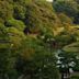 Rikugi-en Gardens