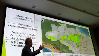 Deforestation in Brazil's Amazon rainforest is down to lowest level since 2016, government says