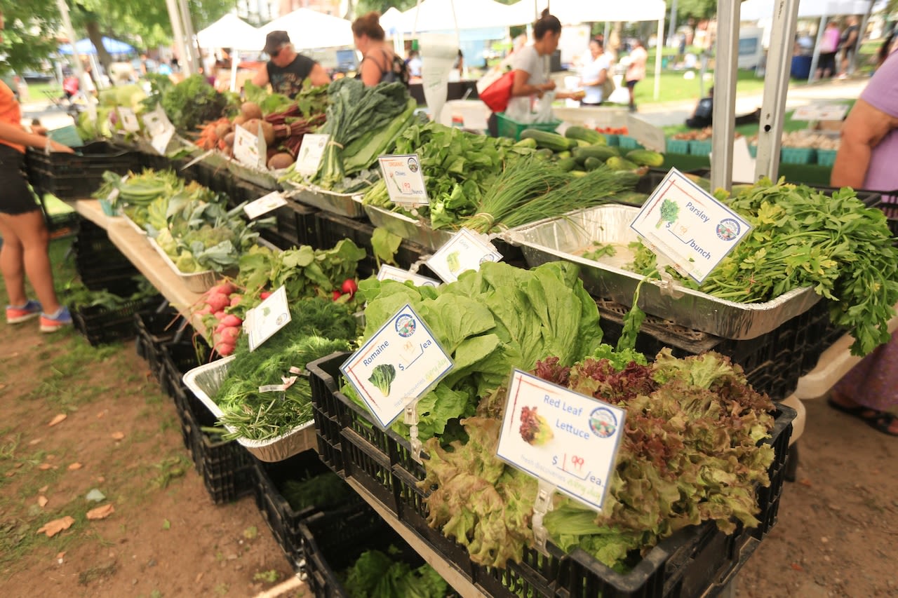 Live music, farmers market, more things happening in Hudson County