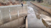 Video shows Colorado wildlife officers dangling rope to rescue mountain lions from spillway