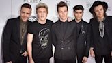 Zayn Malik Regrets Not Enjoying One Direction Stint