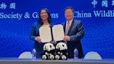 San Francisco mayor announces the city will receive pandas from China