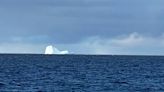 Alarma en Ushuaia: apareció un un iceberg cerca de la costa y pusieron en alerta a los barcos