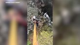 Crew airlifts driver who slid down cliff in Sonoma County: VIDEO