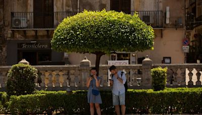 Sicily’s orange growers call for help as drought threatens output