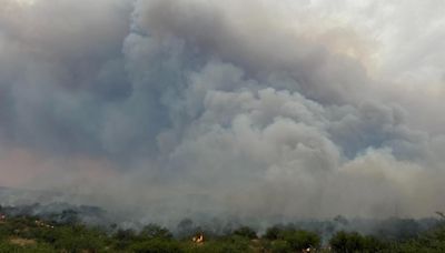 Freeman Fire burning north of Tucson closes trails, scorches 31,727 acres, 0% contained