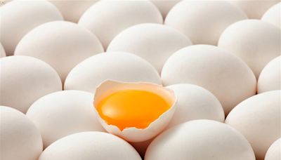 大武山牧場6月將上市且推出生食級雞蛋！攜手日本最大蛋雞牧場打造彰化洗選廠！