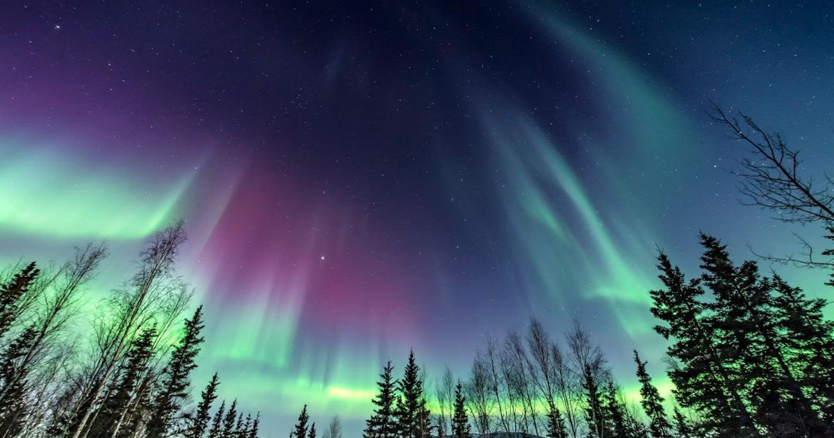 See the Northern Lights on Every Princess Cruise to Alaska in 2024