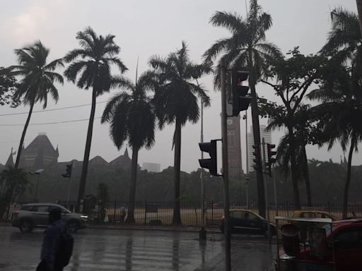 Mumbai Weather Update: IMD Issues Yellow Alert For City, Suburbs, Thane & Palghar Till July 24