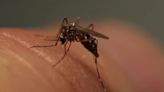 Michigan’s first mosquito-borne virus of 2024 detected