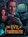 The Evil of Frankenstein