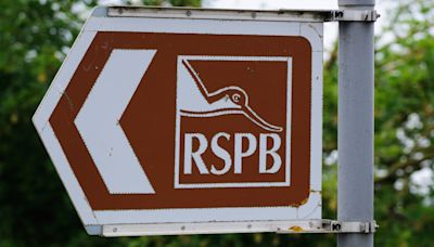 Watchdog: RSPB online post branding Sunak and Gove ‘liars’ was inappropriate