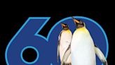 SeaWorld plans 60th anniversary celebrations, parade