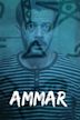 Ammar