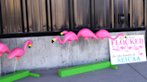 Roving flocks of flamingos found in Blackfoot as part of SEICAA fundraiser