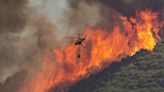 La contaminación por fuegos forestales se vincula al riesgo de suicidio en zonas rurales