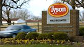 No, Tyson Foods isn't putting insects in human food; this is for pets and fish | Fact check