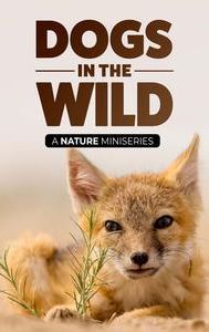 Dogs in the Wild, A Nature Miniseries