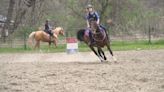 Saddle up for a western-style riding adventure at Hollow Brook Riding Academy!