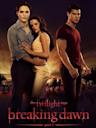 The Twilight Saga: Breaking Dawn Part 1