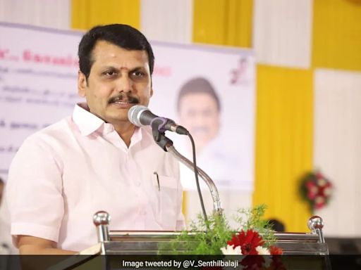 "Senthil Balaji Being 'Whitened' In Washing Machine": DMK's Tamil Nadu Rival