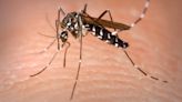 Mosquito traps in Indio, Mecca test positive for West Nile virus; no human cases reported