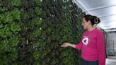 Rooting for our Neighbors: FeedMore WNY's vertical farm helping tackle food insecurity