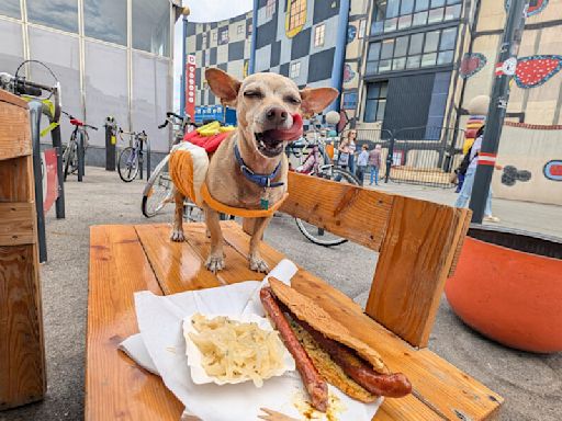 I Took My Wiener Dog on a Hot Dog Tasting Tour Across Central Europe