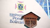 Conozca el nuevo hotel para abejas en Colombia