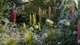 Chelsea Flower Show People’s Choice Award: When does voting close?