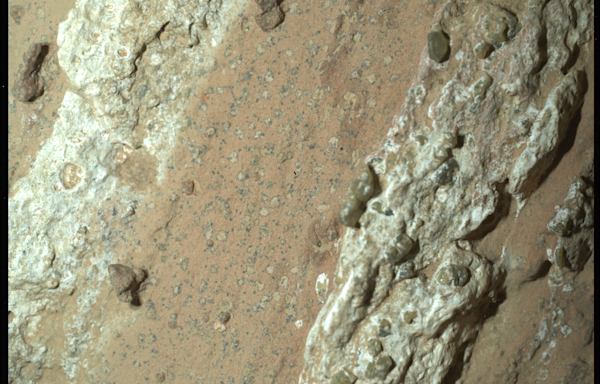 This Mars rock could show evidence of life. Here's what Perseverance rover found.