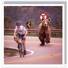 UStudio Bear Chasing Cyclist Card