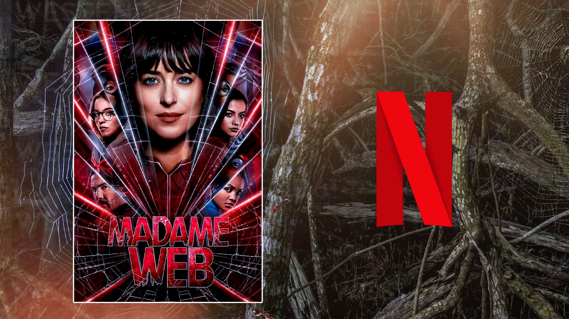 Madame Web set to premiere on Netflix