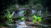 1 killed in Santa Cruz Mountains ID’d after tree topples into house