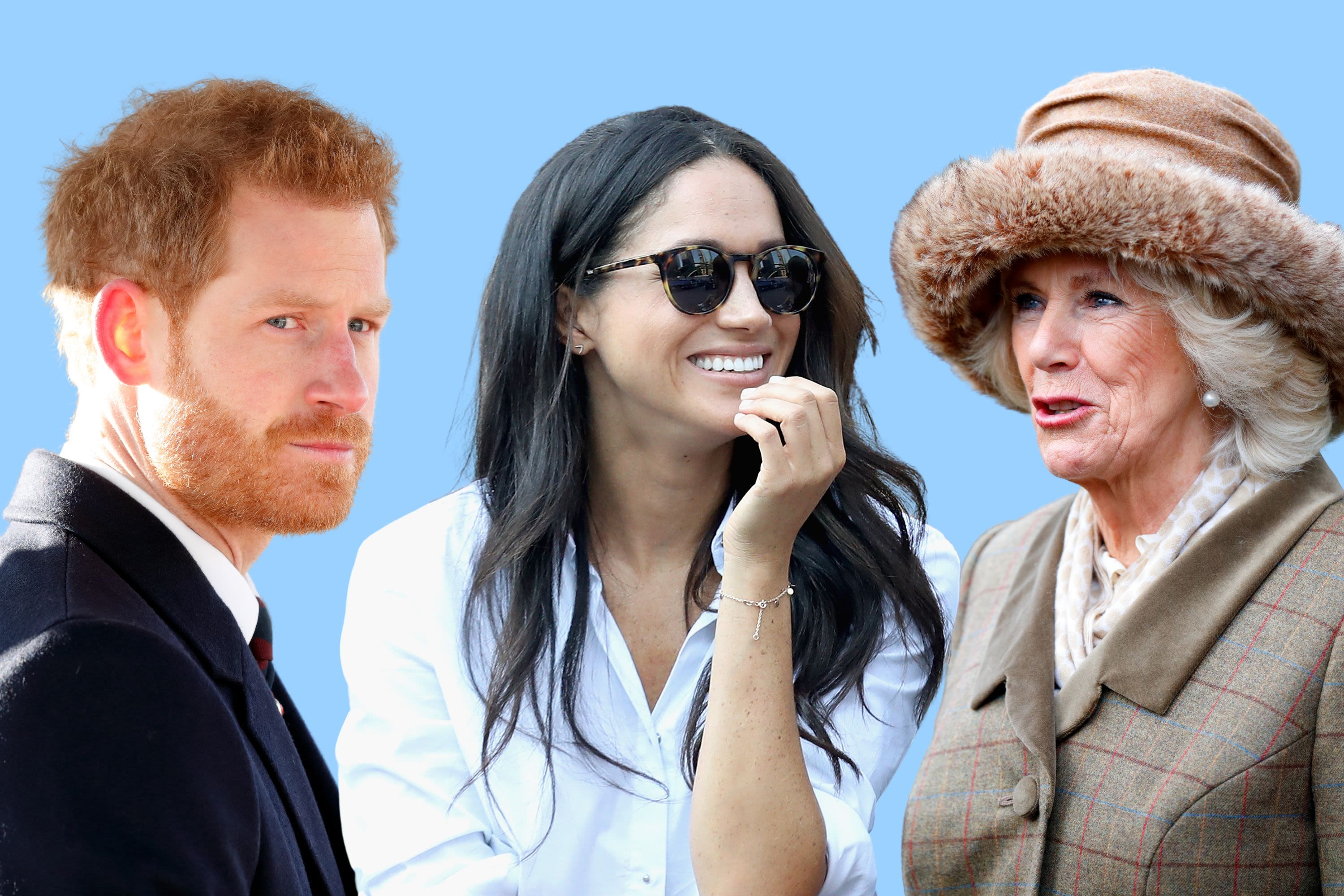 Meghan Markle asked Queen Camilla for help during crisis