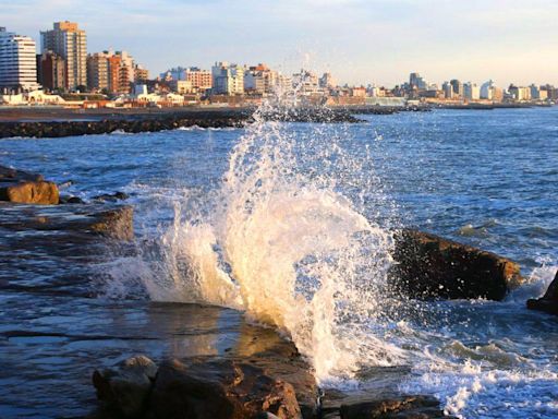 Ni las ballenas se quieren perder este verano: así llegaron a Mar del Plata