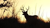 What’s it like to hunt in Kansas? Find out through our new Open Season newsletter