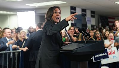 New poll finds overwhelming support for Kamala Harris among Democratic voters