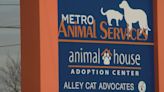 LMAS halts dog intakes and adoptions due to distemper case at shelter