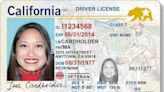 Californians have less than a year to get a Real ID. Here’s when and what you need to apply