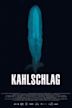 Kahlschlag