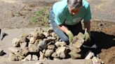 Community volunteers, Organic Valley employees tidy up Chaseburg Village Park