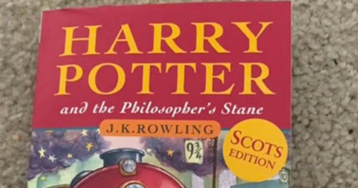 Harry Potter fans thrilled by 'greatest-ever' translation of the beloved books