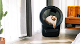 I've Been Using the Litter-Robot 4 for Over a Year — Here's How It's Going